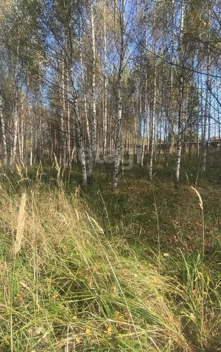 земля р-н Костромской д Турабьево Минское сельское поселение фото 4