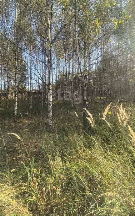 земля р-н Костромской д Турабьево Минское сельское поселение фото 3