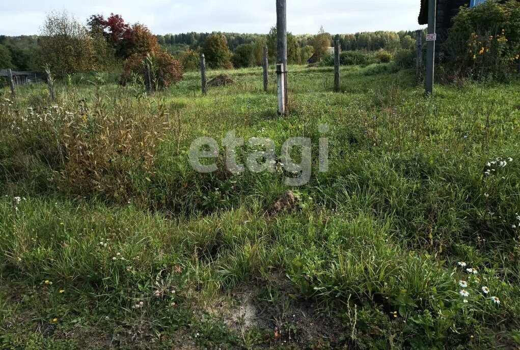 дом р-н Буйский с Воскресенье ул Старая фото 18