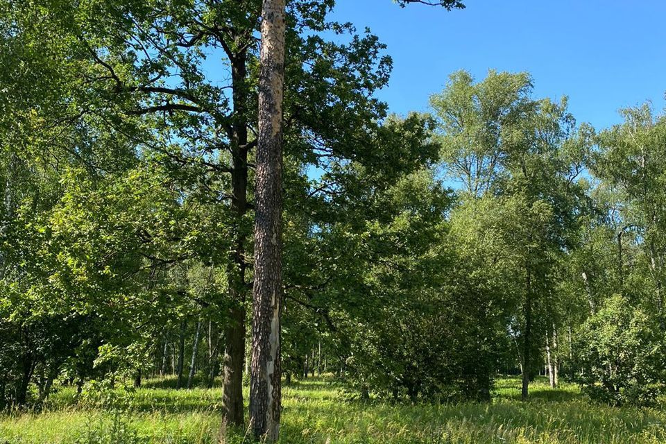 квартира г Лобня ул Краснополянская 50 Лобня городской округ фото 3