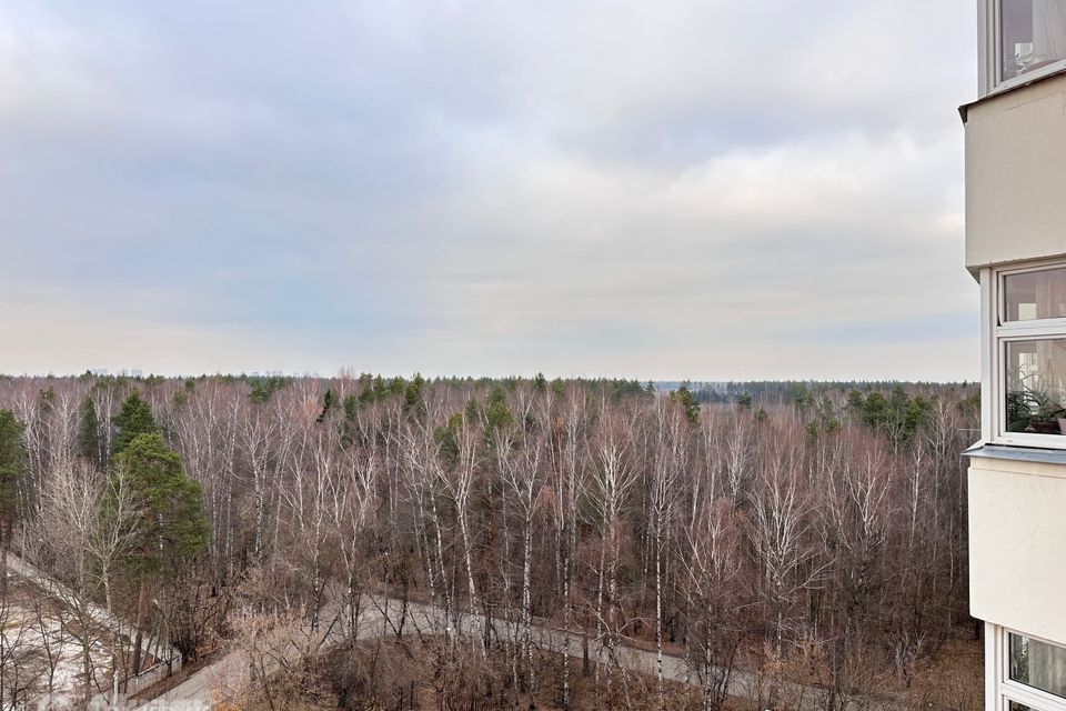 квартира г Балашиха ул Лесопарковая 12 Балашиха городской округ фото 8