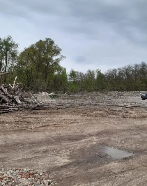 земля г Кашира п Большое Руново ул Южная Кашира городской округ фото 2