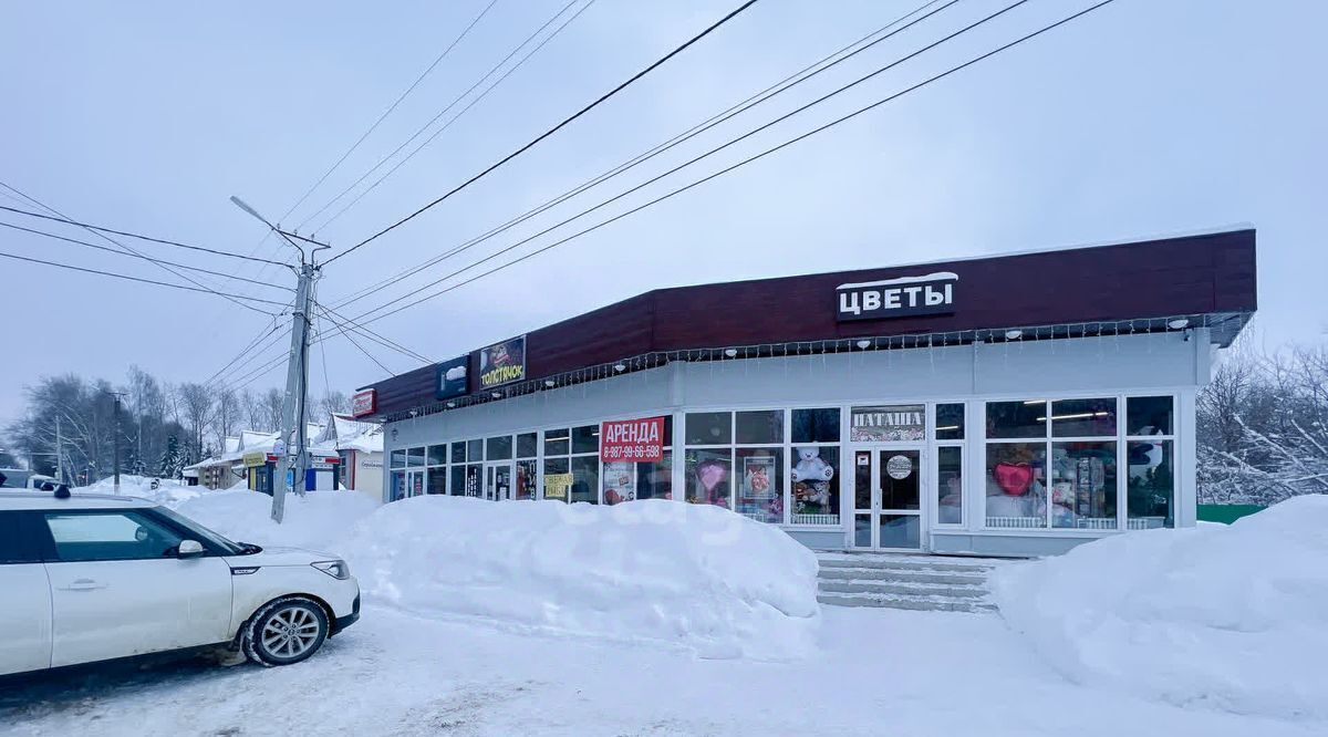 торговое помещение г Рузаевка ул Петрова 29 городское поселение Рузаевка фото 14