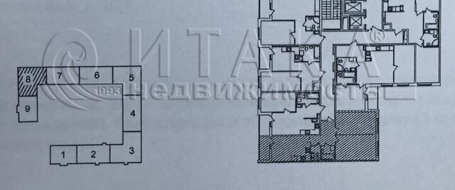 Черная Речка ул Белоостровская 8 фото