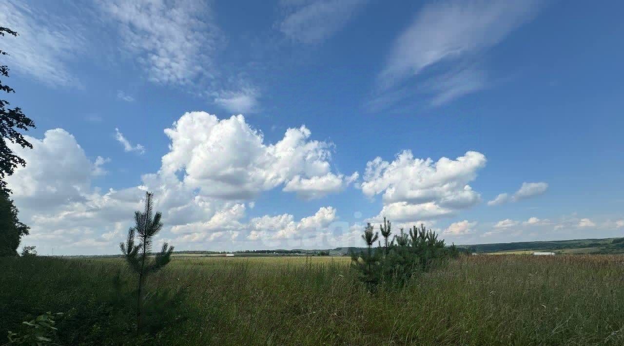 земля р-н Лямбирский с Пензятка ул Луговая Пензятское с/пос фото 1