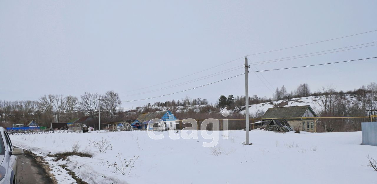 земля г Саранск д Танеевка ул Республиканская 79 фото 21