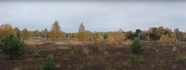 офис д Свиридоново Коломна городской округ фото