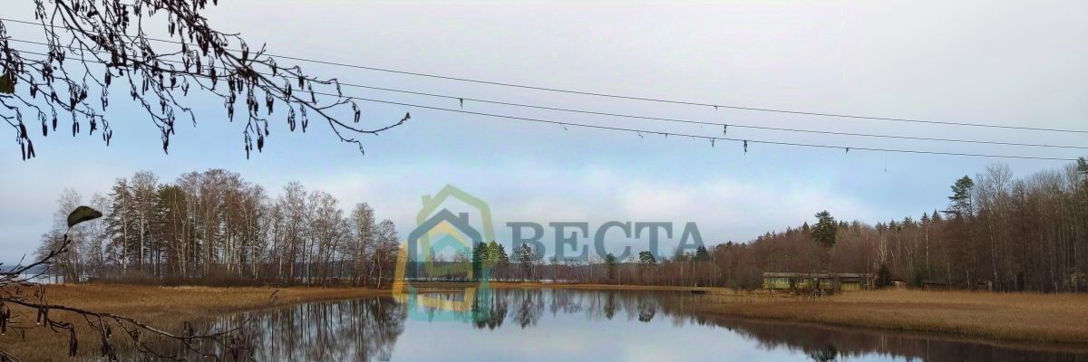 земля р-н Выборгский д Александровка Приморское городское поселение фото 6