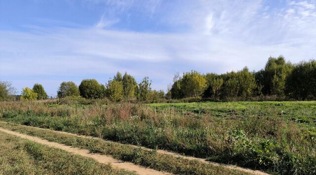 городской округ Лотошино д Володино фото