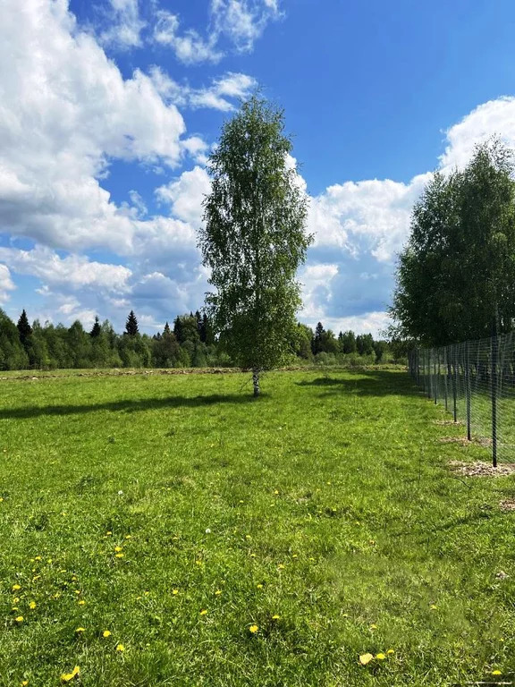 земля городской округ Солнечногорск д Мерзлово мерзлово, Ленинградское фото 1