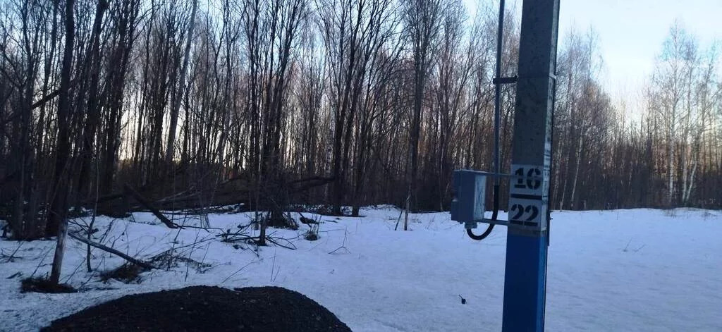 земля городской округ Солнечногорск д Заовражье снт Заовражье Ленинградское фото 1