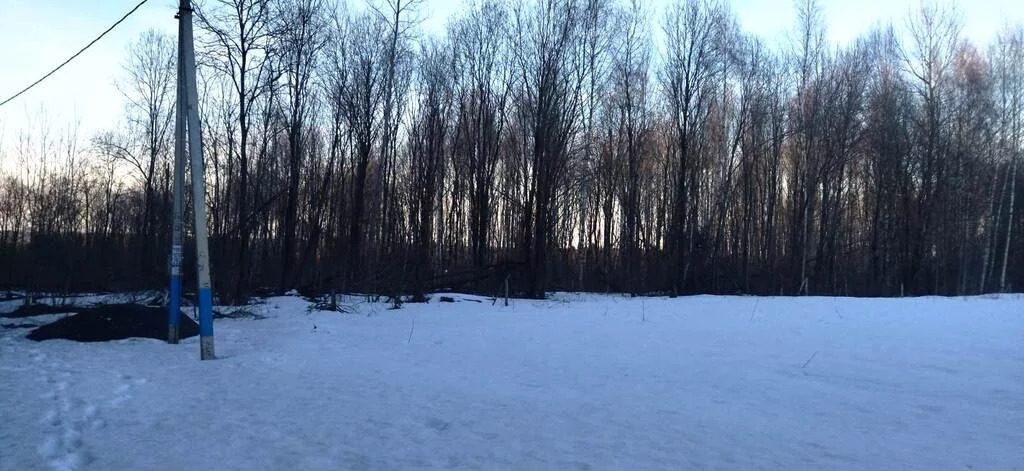 земля городской округ Солнечногорск д Заовражье снт Заовражье Ленинградское фото 2