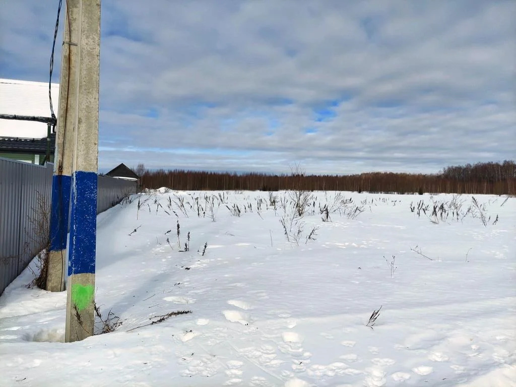 земля городской округ Солнечногорск д Селищево селищево, Ленинградское фото 4