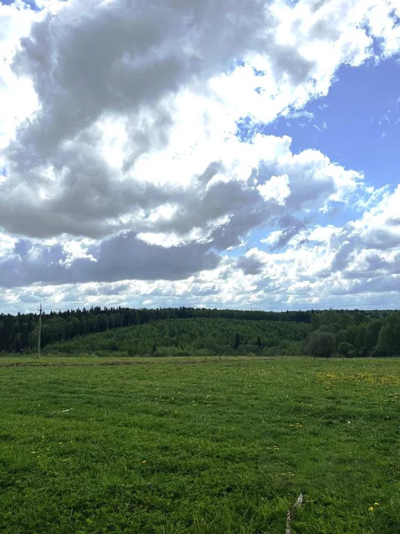 земля городской округ Солнечногорск д Мерзлово мерзлово, Ленинградское фото 6