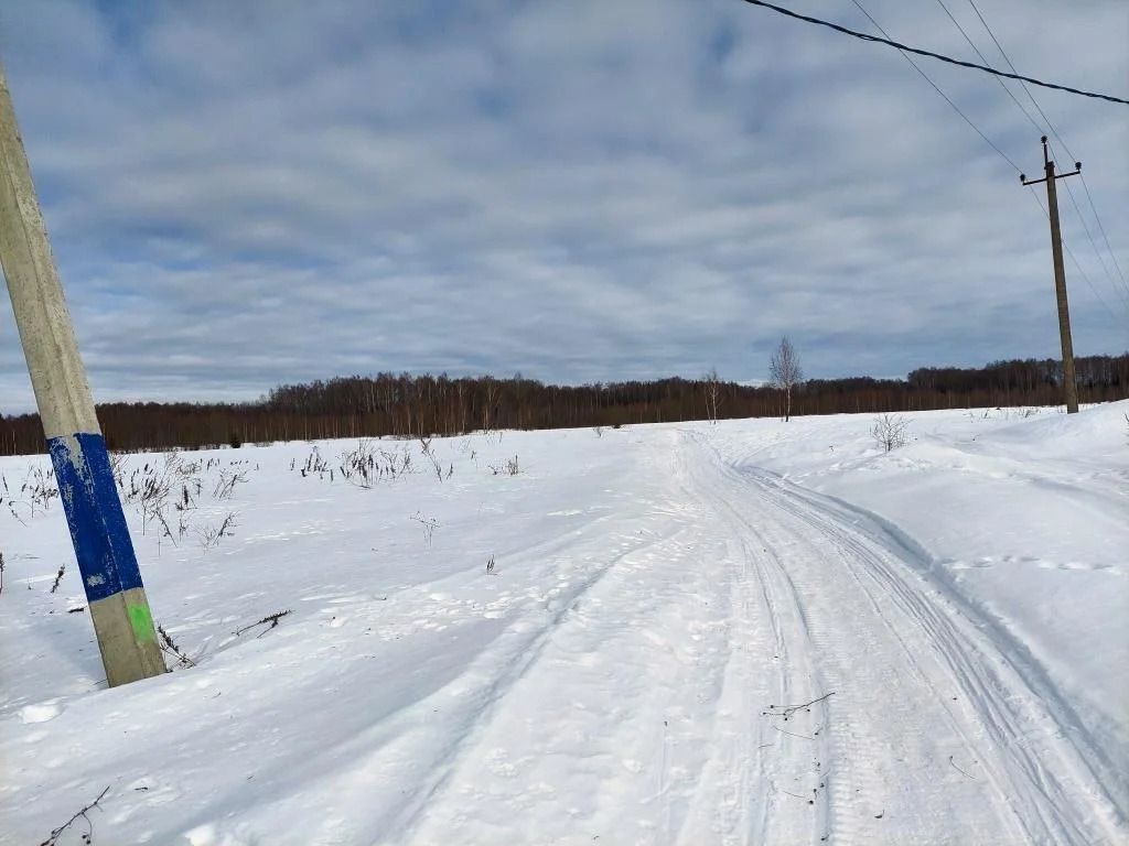 земля городской округ Солнечногорск д Селищево селищево, Ленинградское фото 7