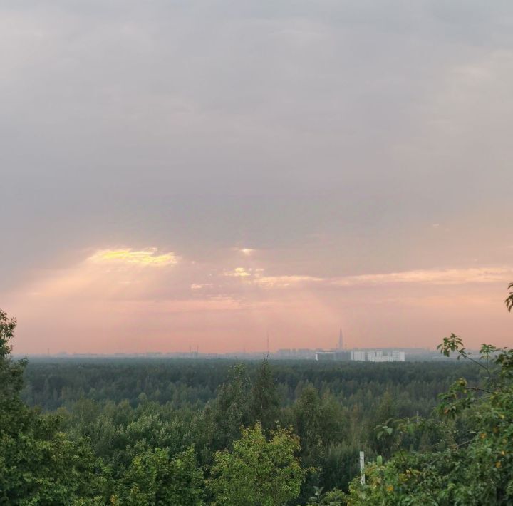 земля р-н Всеволожский д Куйворы Колтушское городское поселение, Проспект Большевиков, 45 фото 6