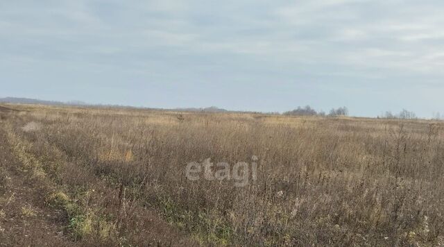 земля ул Семеновская 26 Плехановский сельсовет фото