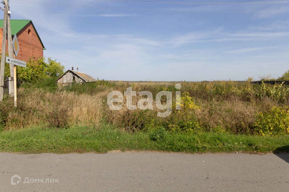 земля р-н Ишимский село Гагарино фото 4