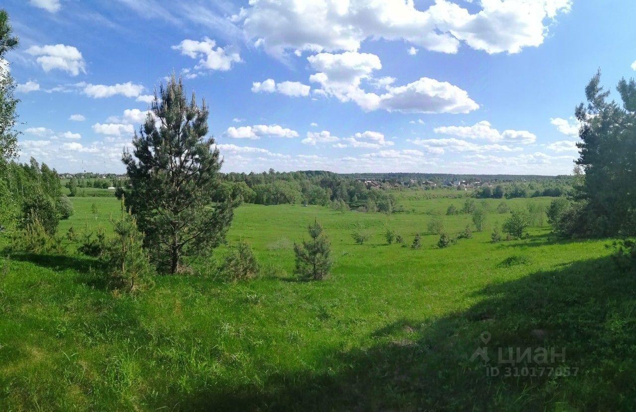 земля городской округ Можайский д Неровново 22, Можайск фото 10