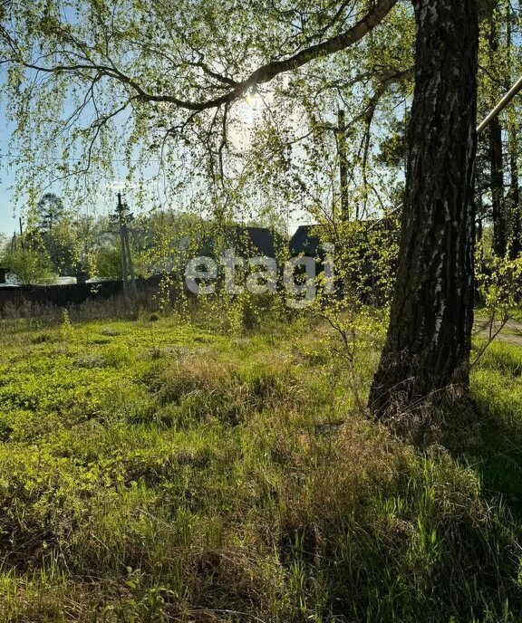 земля р-н Новосибирский с Кубовая фото 5