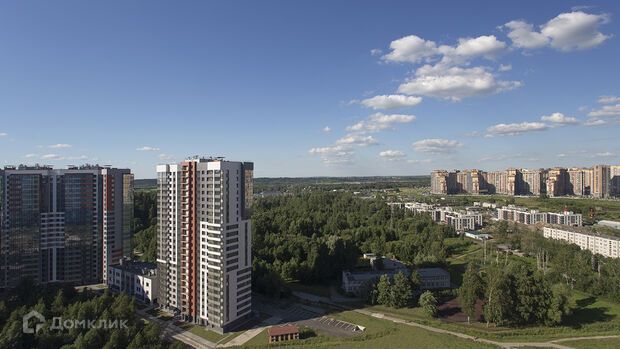 квартира г Санкт-Петербург п Парголово Ольгинская дорога Выборгский, 3/20 ст 1 фото 4