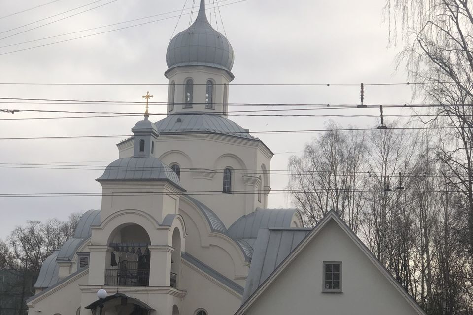 квартира г Санкт-Петербург ул Софьи Ковалевской 10 Калининский фото 10