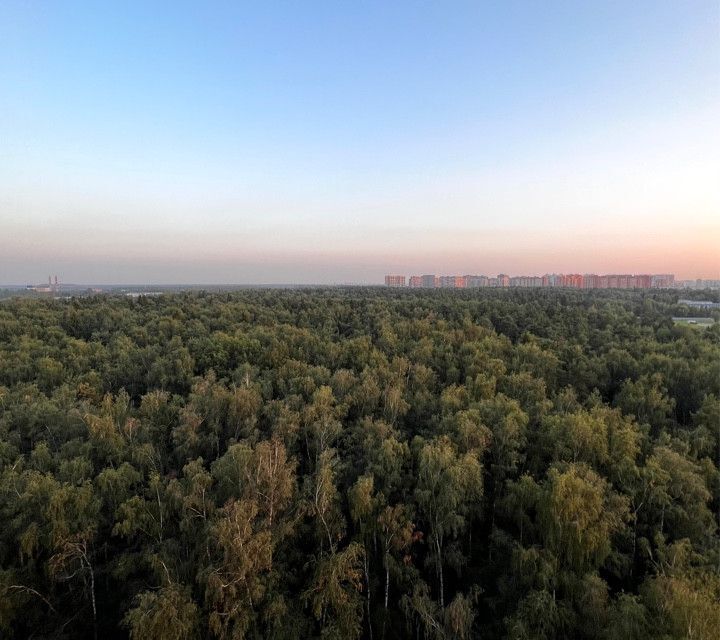 квартира г Балашиха ул Шестая 17 Балашиха городской округ фото 7