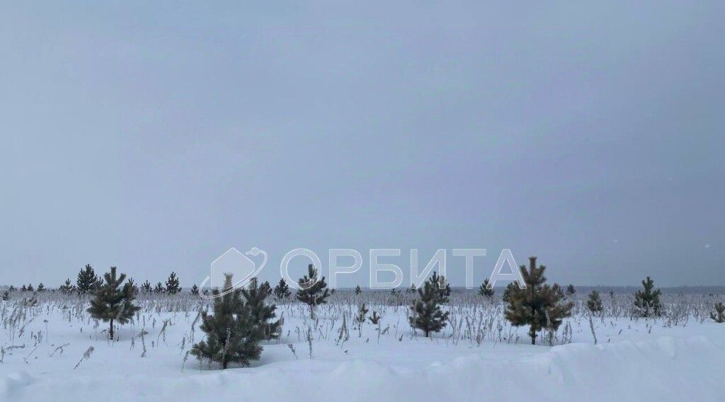 земля р-н Тюменский с Перевалово Радужный кп фото 1