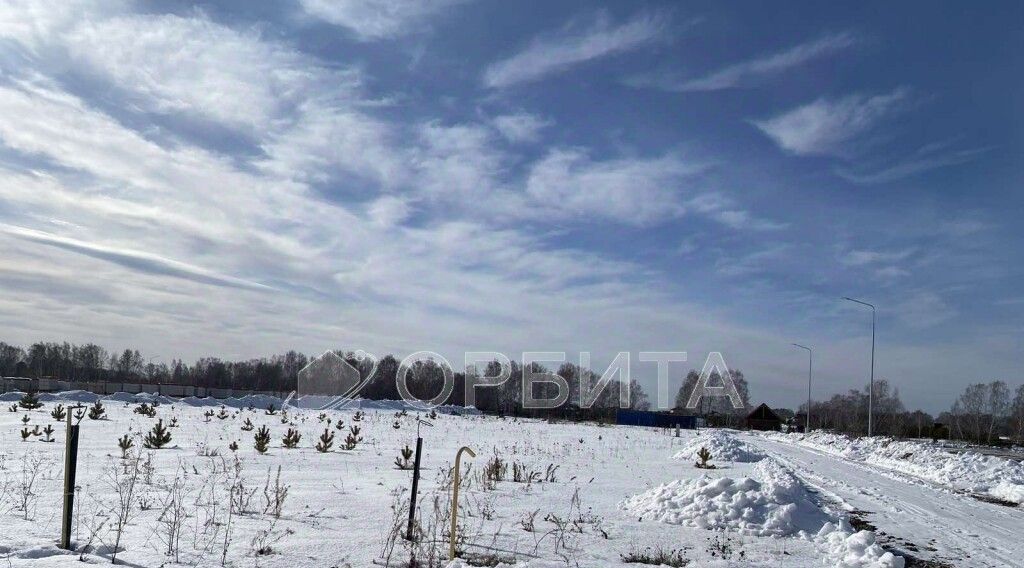 земля р-н Тюменский Новокаменский кп, ул. Васнецова фото 7