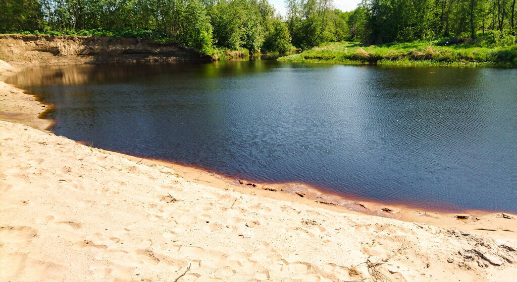 земля р-н Кировский д Низово Суховское сельское поселение фото 4