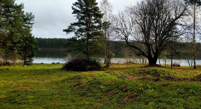 снт Приладожское Приладожское городское поселение фото