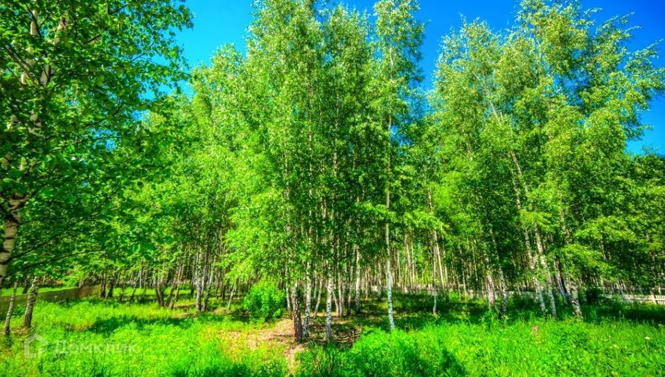 земля городской округ Одинцовский село Успенское фото 1