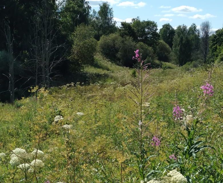 земля р-н Жуковский фото 1