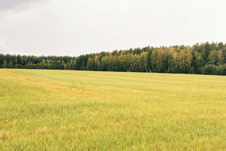 земля городской округ Богородский д. Боково фото 4