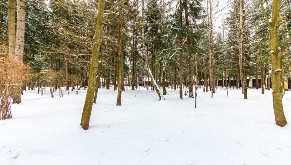 земля городской округ Наро-Фоминский д. Тарасково фото 1