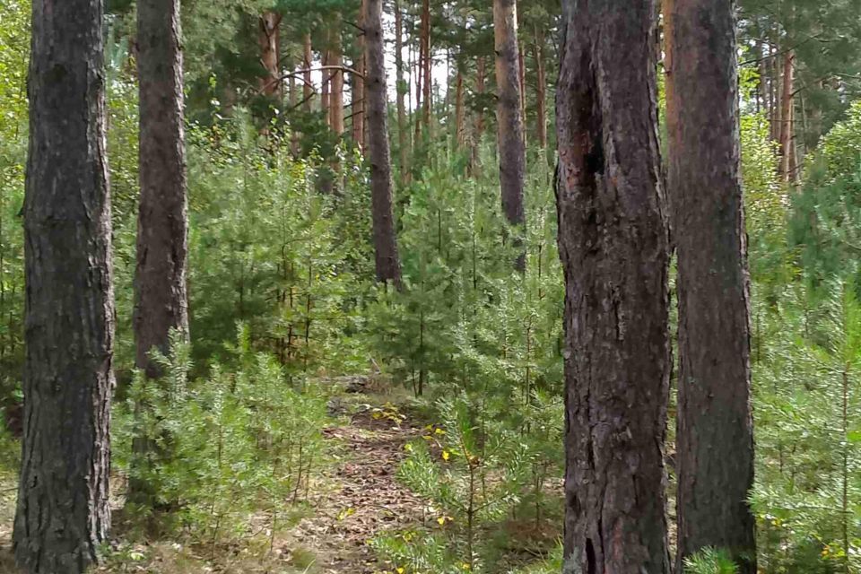 дом городской округ Павловский Посад д Назарьево 2-й Лесной проезд, 4 фото 2