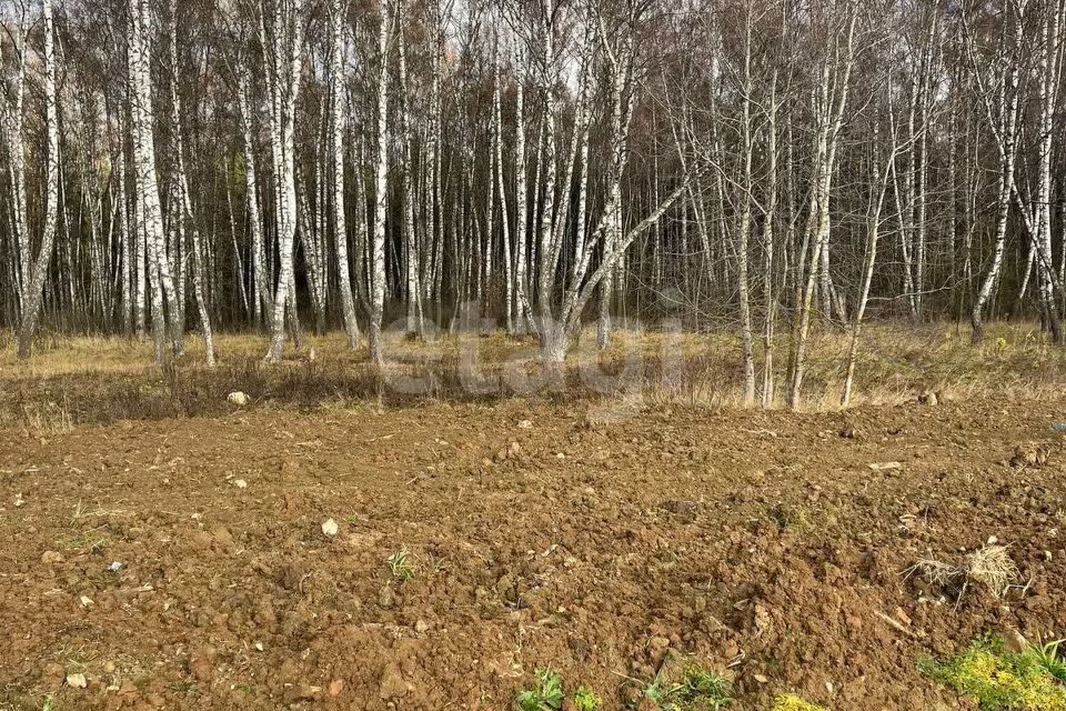 земля городской округ Чехов д. Чепелёво фото 1