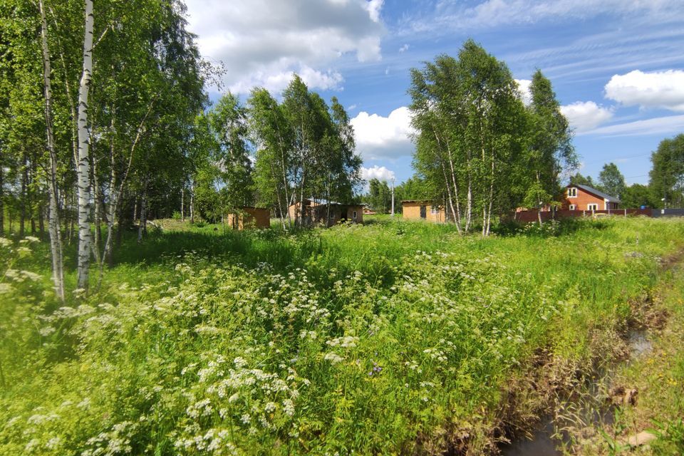 земля городской округ Солнечногорск д Клочково СНТ Клочково фото 3