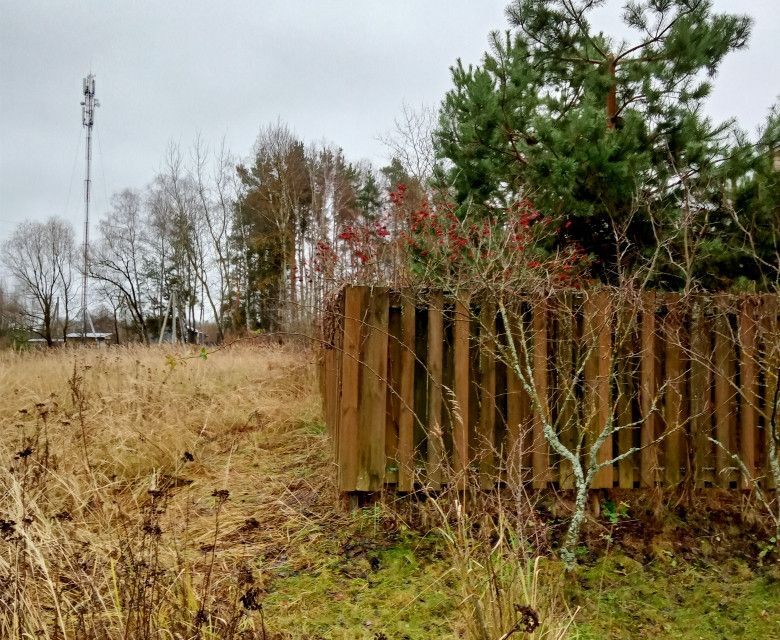 земля городской округ Воскресенск д. Медведево фото 4