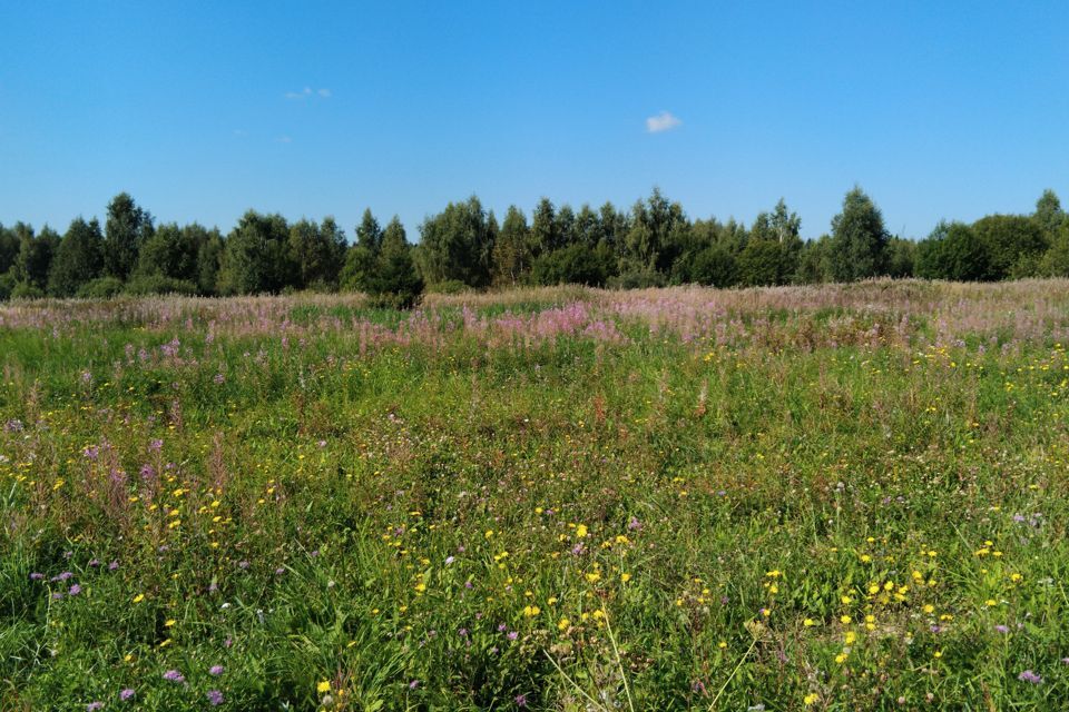 земля городской округ Чехов д. Филипповское фото 4