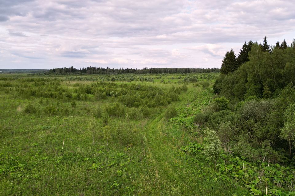 земля городской округ Можайский ДНП Берега фото 6