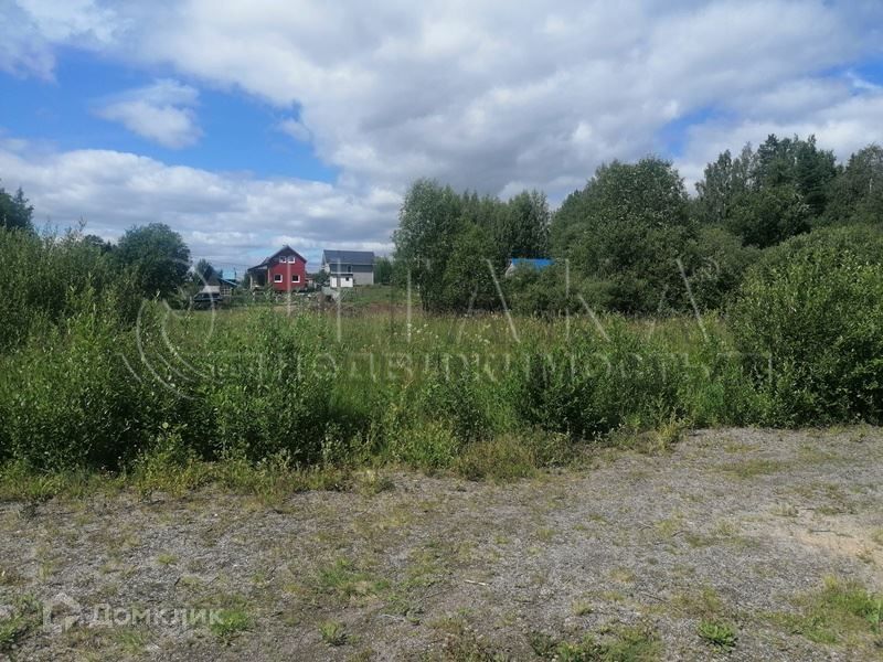 земля р-н Приозерский садоводческое товарищество Алмаз, 1-я линия фото 10