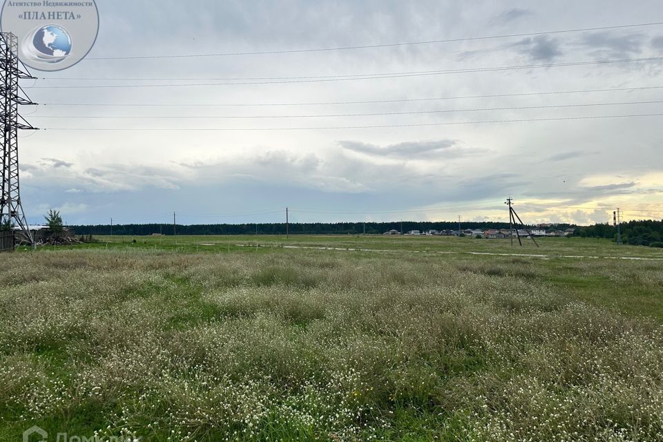 земля городской округ Богородский село Балобаново фото 6