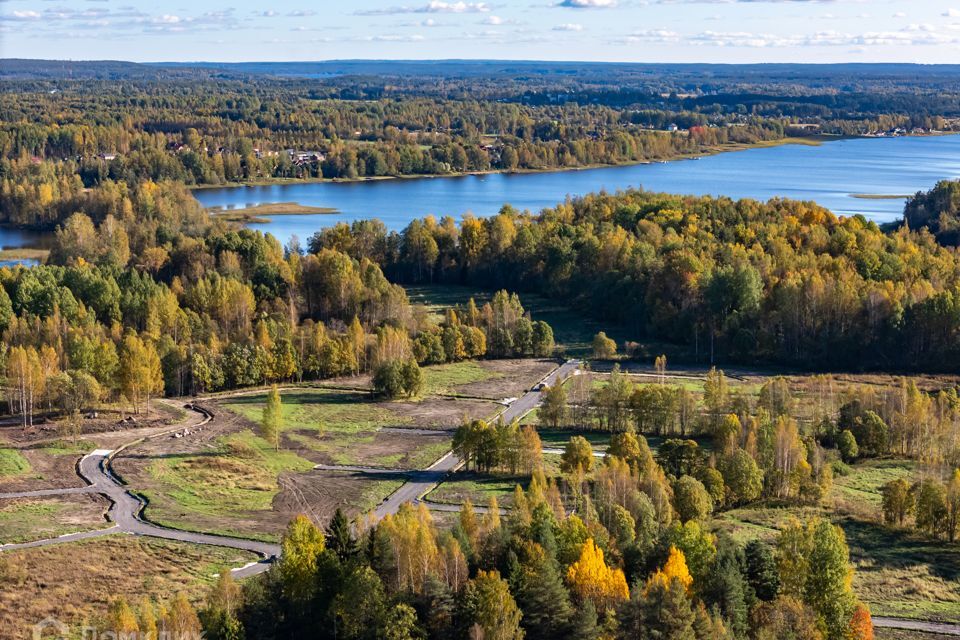 земля р-н Приозерский фото 5