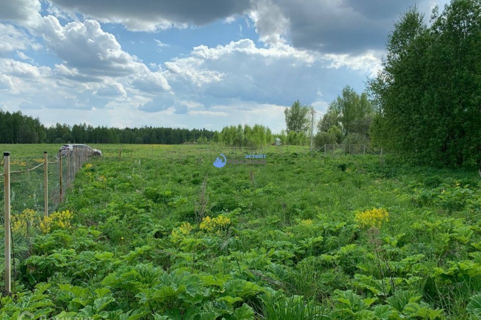 земля городской округ Дмитровский д. Ивлево фото 7