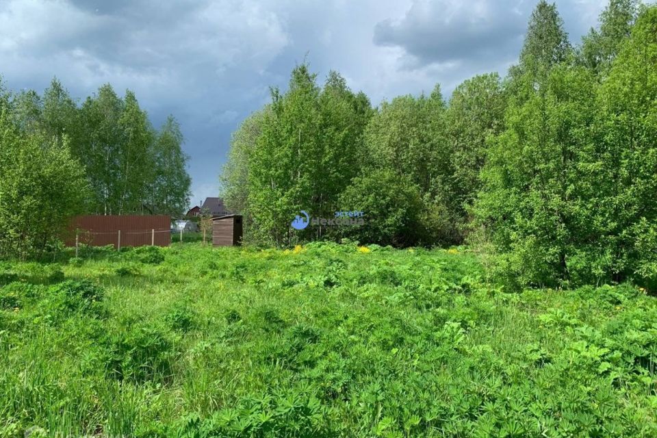 земля городской округ Дмитровский д. Ивлево фото 5