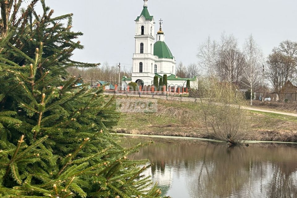 земля городской округ Домодедово д. Гальчино фото 3