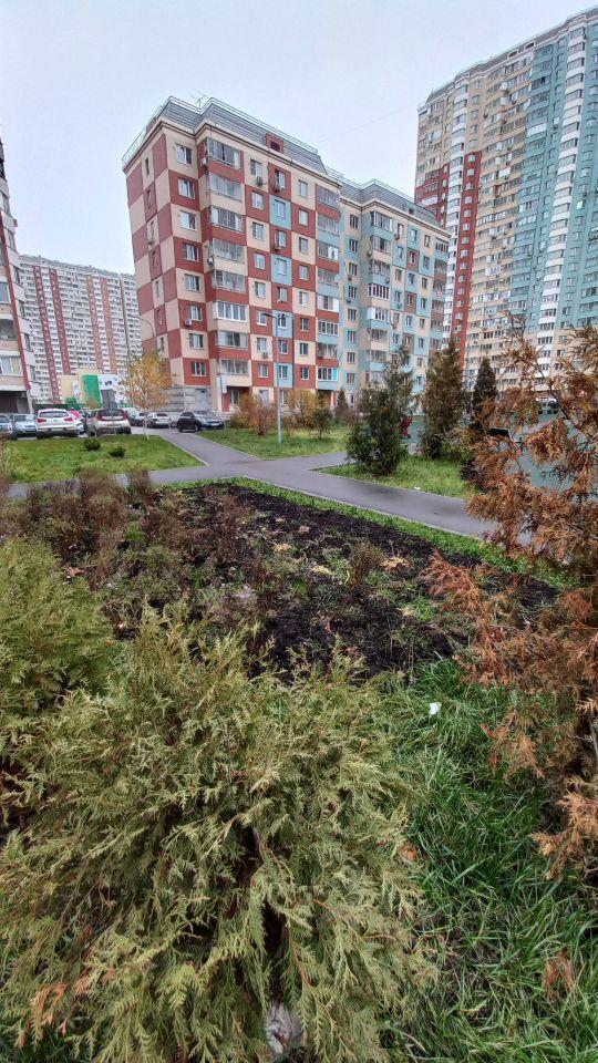 квартира г Москва метро Некрасовка ЮЗАО ул Недорубова 12 Квартал 11, Московская область фото 5