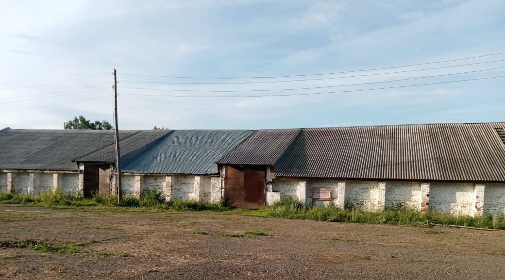 офис р-н Козульский п Лазурный Лазурненский сельсовет фото 4