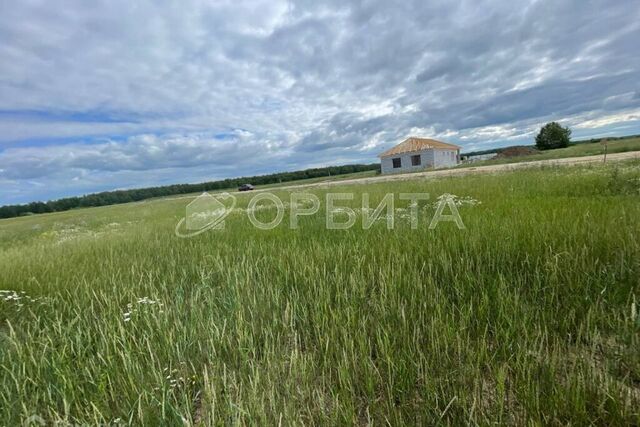 ДПК Новокаменский, Нобелевская фото